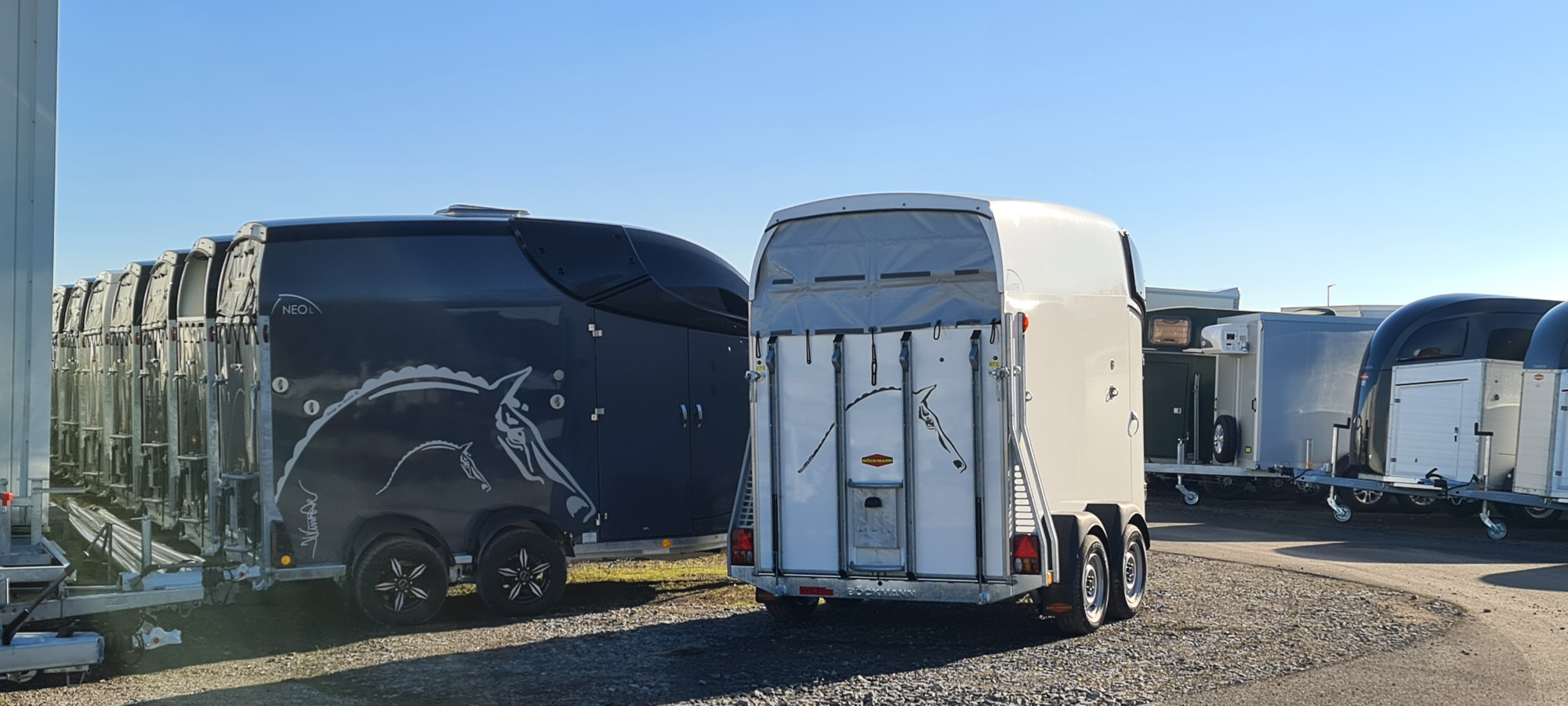 Rosemeier GmbH Anhaenger-Centrum - vehicles for sale undefined: picture 6