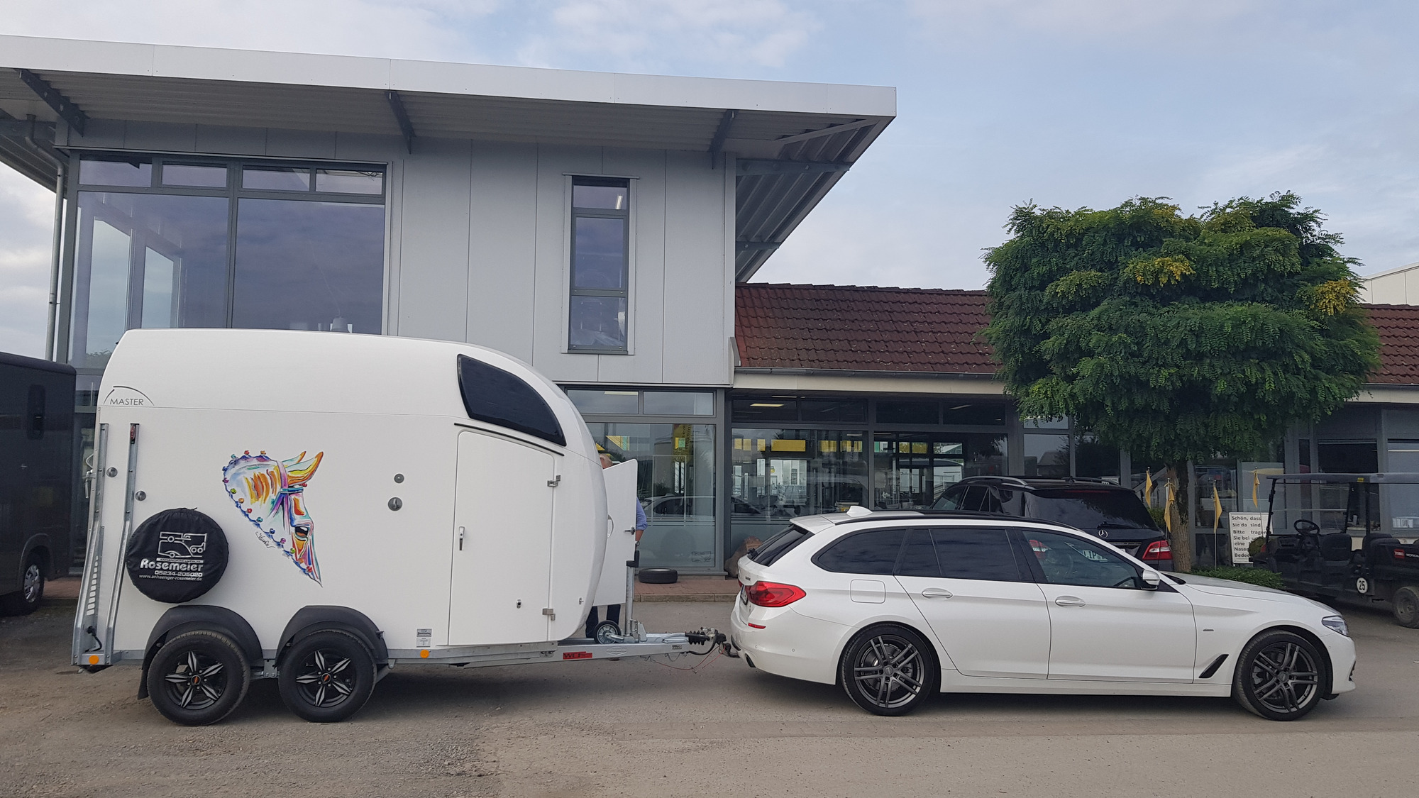 Rosemeier GmbH Anhaenger-Centrum - vehicles for sale undefined: picture 16