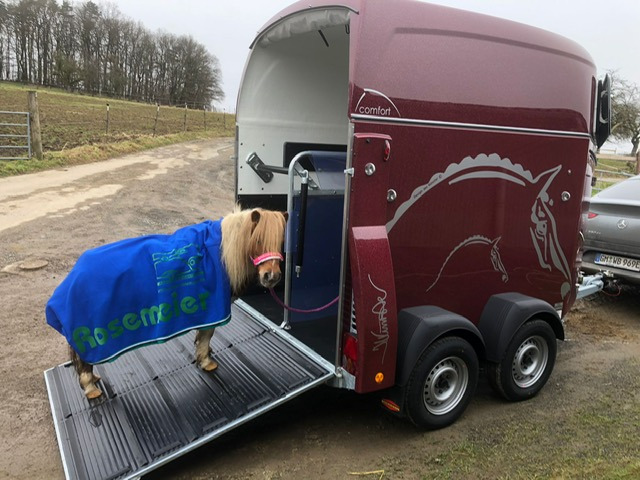 Rosemeier GmbH Anhaenger-Centrum - vehicles for sale undefined: picture 19