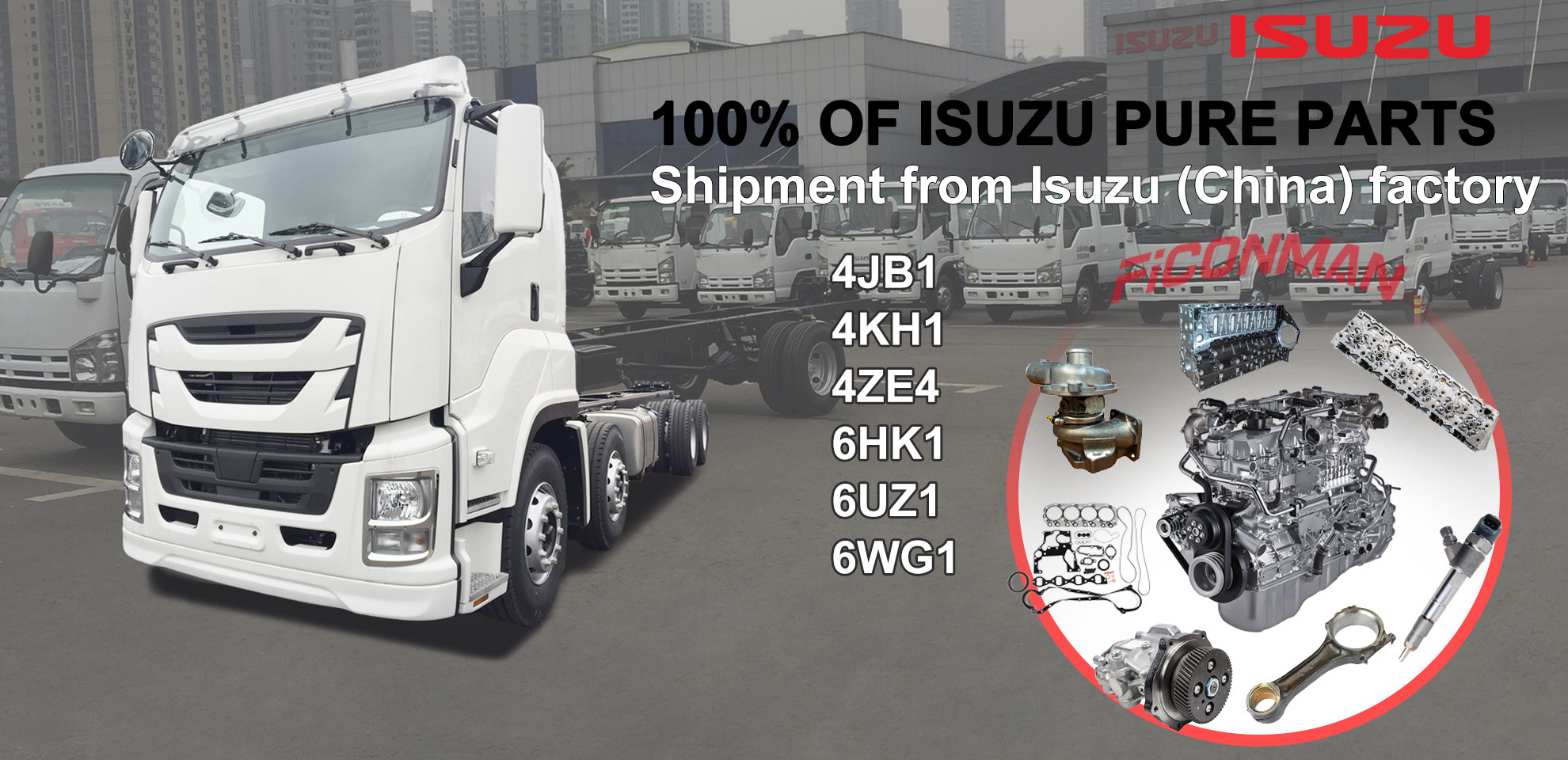 Ficonman(Feikangman China) Auto Parts Co., LTD - Spare parts IVECO undefined: picture 4