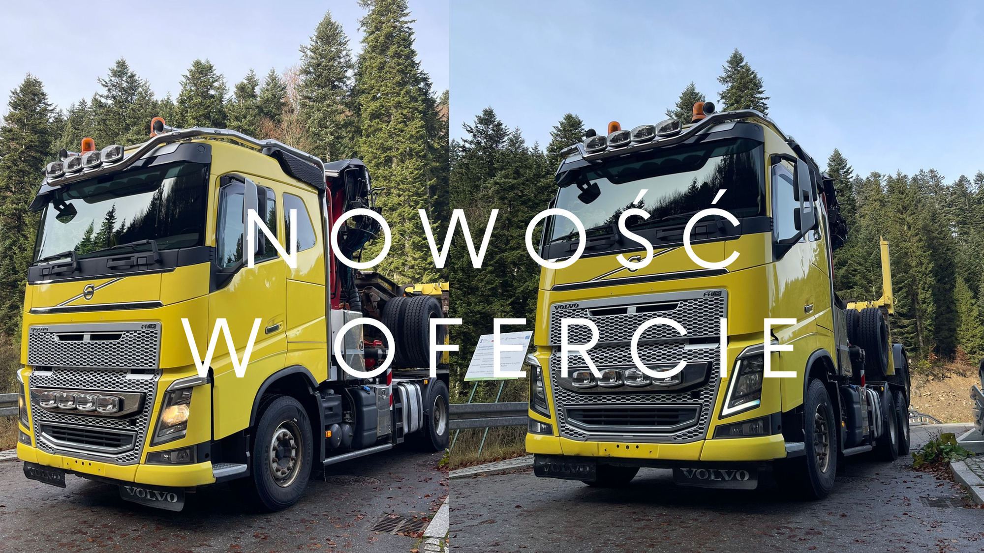 JANUSZKI SC undefined: picture 2