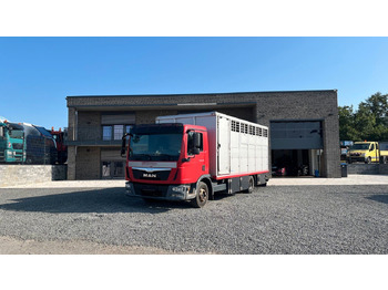 Horse truck MAN TGL 10.220
