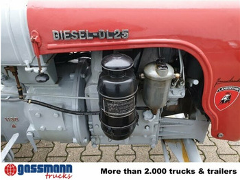 Farm tractor Traktor DL25: picture 5