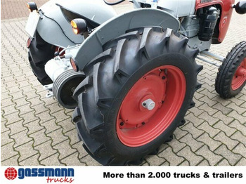 Farm tractor Traktor DL25: picture 3