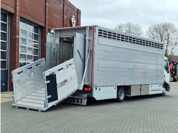 New Livestock truck Pezzaioli 1 deck - Ventilation - 17.9M2 - Ramp - NEW box: picture 4