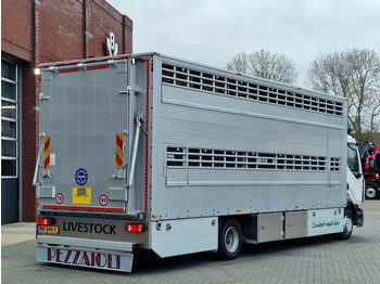 New Livestock truck Pezzaioli 1 deck - Ventilation - 17.9M2 - Ramp - NEW box: picture 5