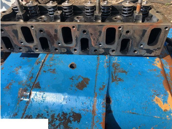 Cylinder head MANITOU