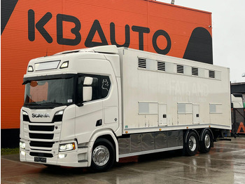 Livestock truck SCANIA R 580