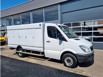 Refrigerated van MERCEDES-BENZ Sprinter 313