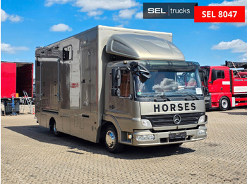 Livestock truck Mercedes-Benz Atego 818L: picture 3 Livestock truck Mercedes-Benz Atego 818L: picture 3