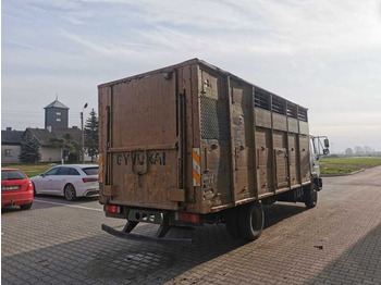 Livestock truck MAN LE 12.189 livestock truck: picture 4 Livestock truck MAN LE 12.189 livestock truck: picture 4