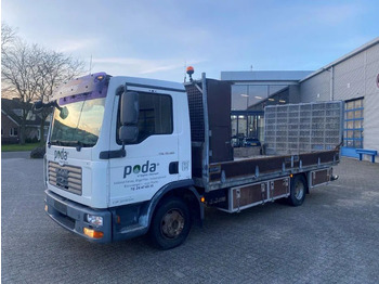 Autotransporter truck MAN TGL 10.180