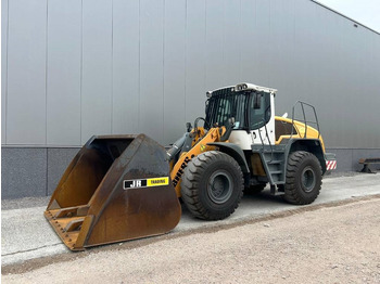 Leasing of Liebherr L 550 (Comes with High-tip - Mit Hochkipper)  Liebherr L 550 (Comes with High-tip - Mit Hochkipper): picture 2