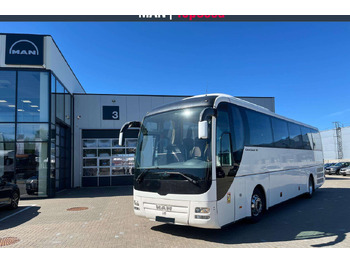 Coach MAN Lion's Coach