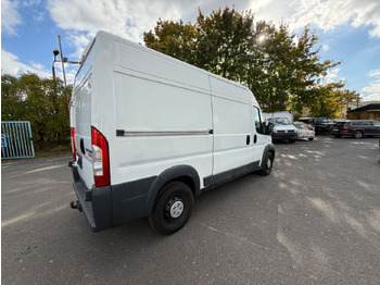 Panel van Fiat Ducato Maxi: picture 4