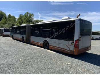 Articulated bus Mercedes-Benz O 530 G Citaro: picture 4