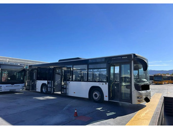 City bus MAN Lions City LE: picture 2 City bus MAN Lions City LE: picture 2