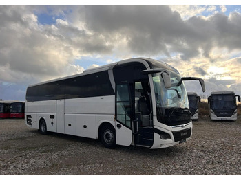 Coach MAN Lion's Coach