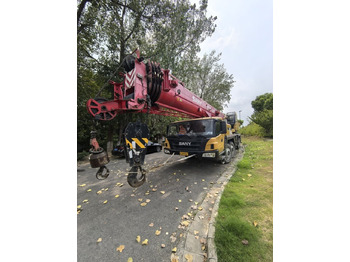 Leasing of Palfinger Sany STC700T STC800T STC800 70T 80T 70ton 80ton Palfinger Sany STC700T STC800T STC800 70T 80T 70ton 80ton: picture 2