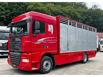 Livestock truck DAF XF 105 460