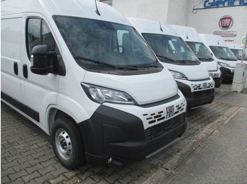 Panel van Fiat Ducato: picture 2