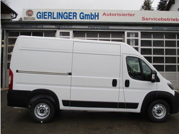 Panel van FIAT Ducato