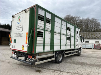 Leasing of MAN M 90 15.290 TGM MAN M 90 15.290 TGM: picture 5