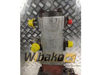 Hydraulic pump