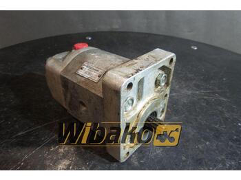 Hydraulic pump