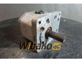 Hydraulic pump