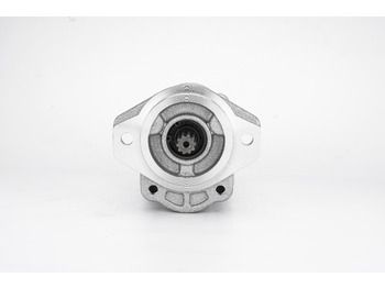 Hydraulic pump