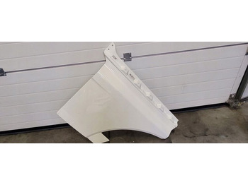 Door and parts MAN TGX