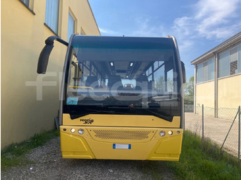 School bus Daf Truck N.V. Calliope: picture 2