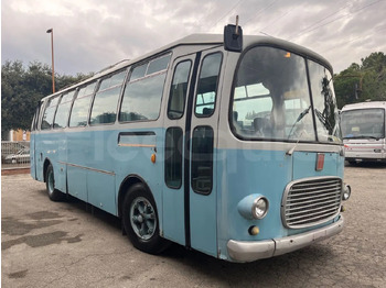 Coach FIAT