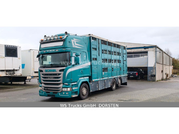 Horse truck SCANIA R 490