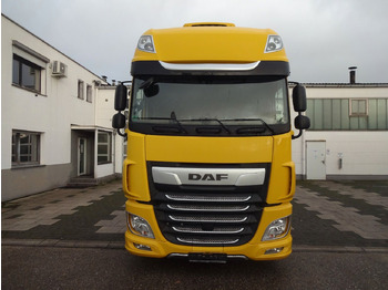 Container transporter/ Swap body truck DAF XF 480, Jumbo BDF, SSC, Standklima, Intarder: picture 2
