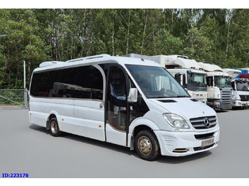 Minibus MERCEDES-BENZ Sprinter 519