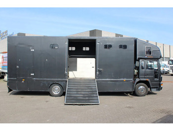 Horse truck Volvo FL 614 + MANUAL + EURO 0: picture 2