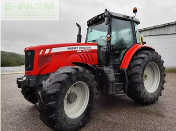 Farm tractor MASSEY FERGUSON 6465