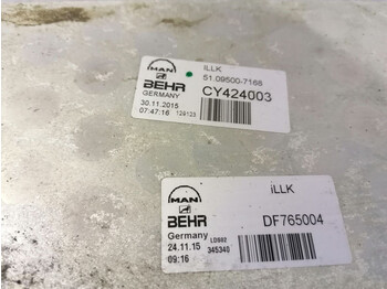 Intercooler for Truck MAN TGX: picture 3 Intercooler for Truck MAN TGX: picture 3