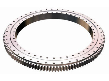 Slewing ring TADANO