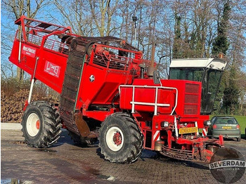 Beet harvester Gilles Beet Master 2000: picture 3