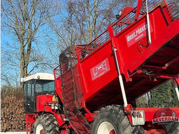 Beet harvester Gilles Beet Master 2000: picture 2