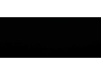 : header image