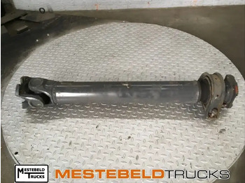 Drive shaft DAF