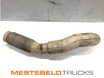 Exhaust system MAN