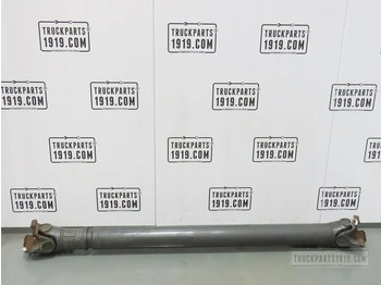 Drive shaft DAF