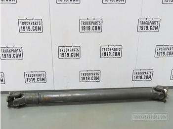 Drive shaft DAF