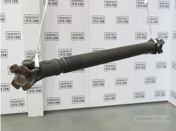 Drive shaft DAF
