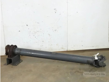 Drive shaft DAF